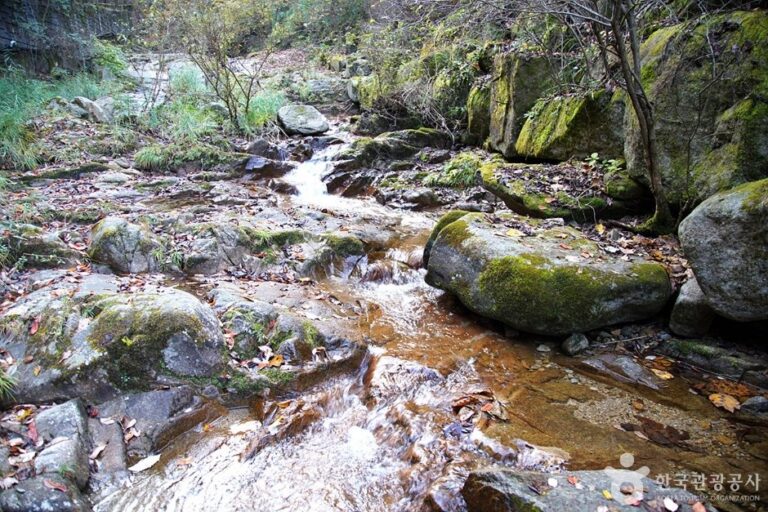 [Gangwon-do] Cheoneunsagyegok Valley (Wonju) (천은사계곡(원주))