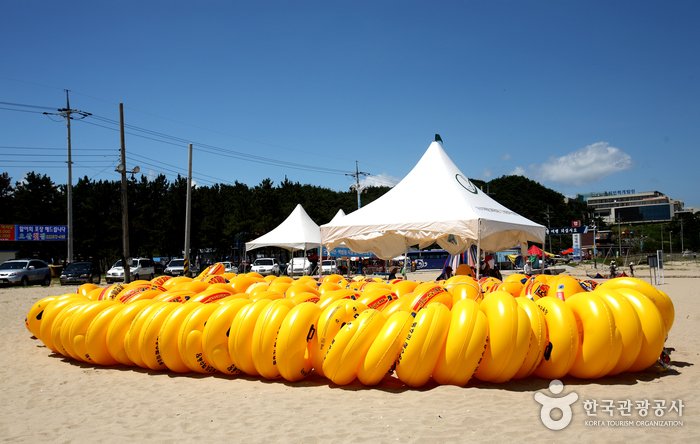 [Gangwon-do] Yangyang Dongho Beach (동호해변(양양))