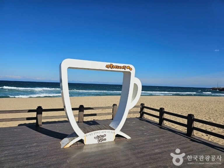 [Gangwon-do] Gangneung Coffee Street (강릉커피거리)