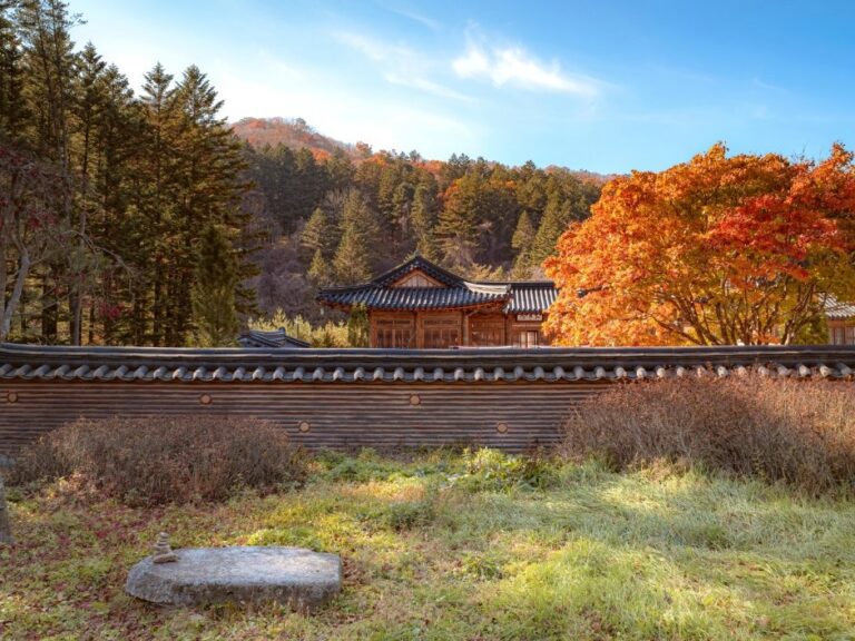 [Gangwon-do] Woljeongsa Temple & Needle Fir Forest (월정사.월정사전나무숲)