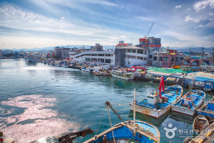 [Gangwon-do] Jumunjin Port (주문진항)