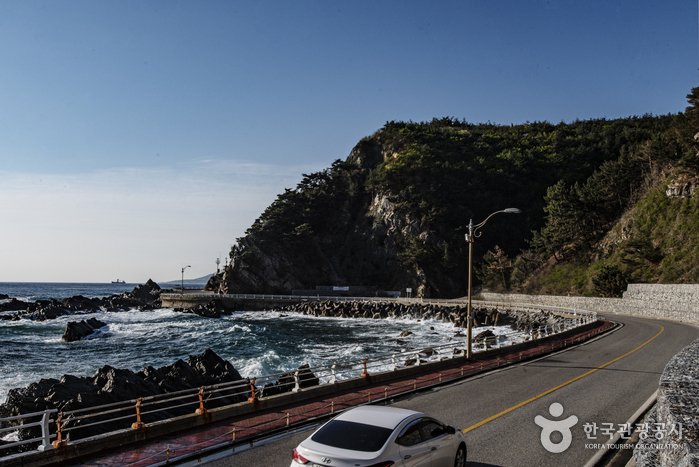 [Gangwon-do] Heonhwa-ro Road (헌화로)