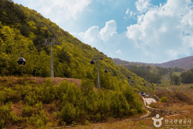 [Gangwon-do] Gariwangsan Mountain (가리왕산)