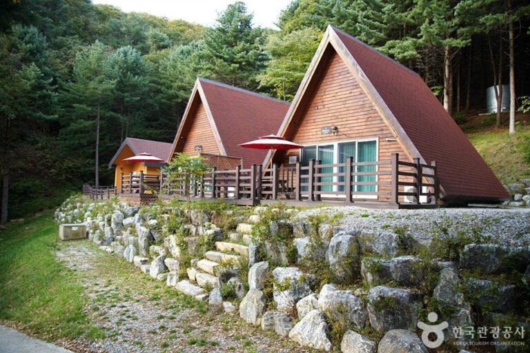 [Gangwon-do] Chiaksan Recreational Forest (치악산자연휴양림)
