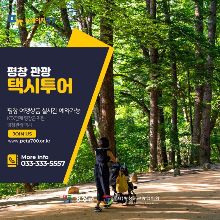 [Gangwon-do] Pyeongchang Sightseeing Taxi Platform (평창관광택시(관광택시 플랫폼))