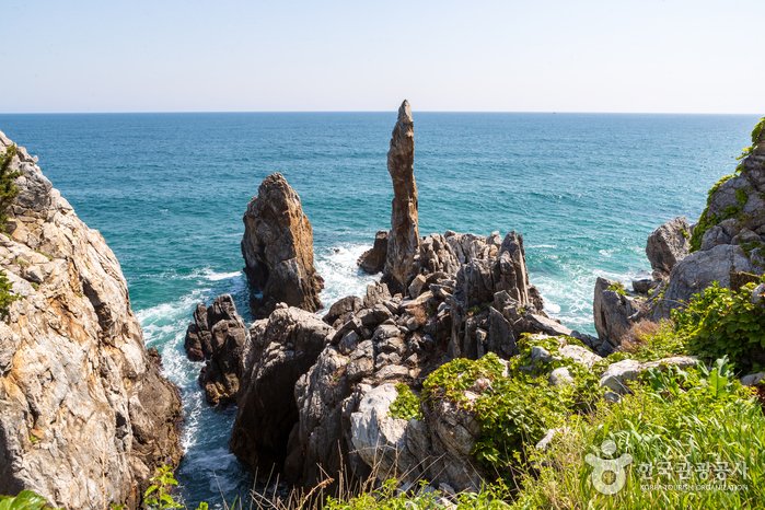 [Gangwon-do] Chuam Chotdaebawi Rock (추암 촛대바위)
