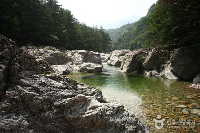 [Gangwon-do] Baekdamgyegok Valley (백담계곡)
