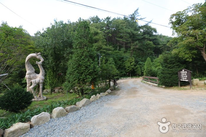 [Gangwon-do] Hoengseong Natural Recreation Forest (횡성자연휴양림)