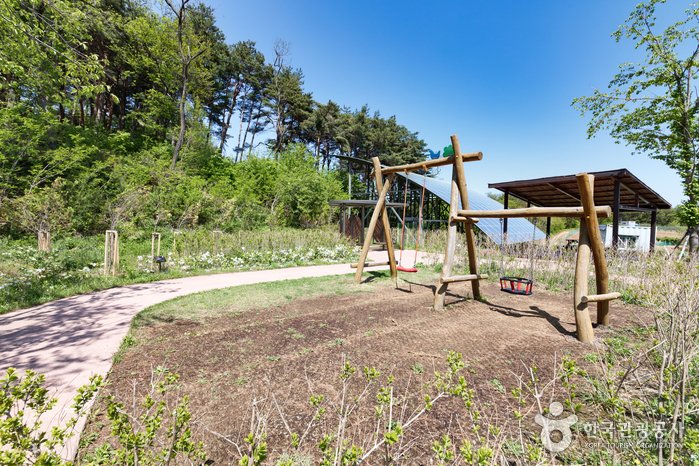 [Gangwon-do] Forest Museum (숲박물관)