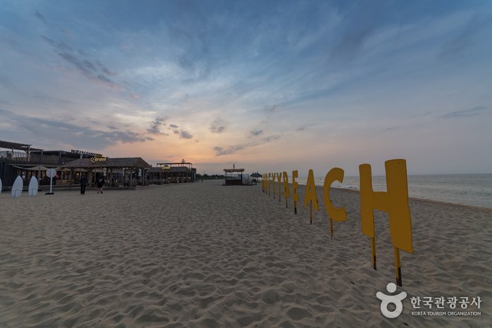 [Gangwon-do] Yangyang Surfyy Beach (서피비치, 서핑(양양))