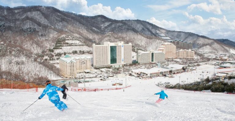 [Gangwon-do] Vivaldi Park Ski World (비발디 파크 스키월드)