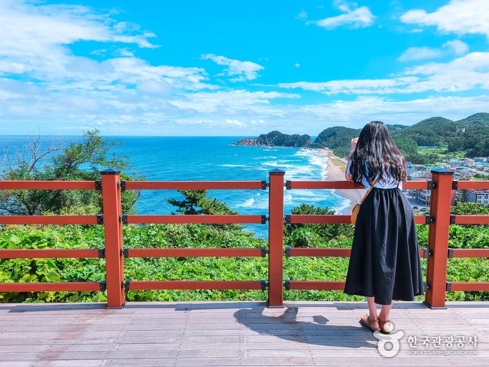[Gangwon-do] Deokbongsan  Coastal Eco-trail (덕봉산 해안생태탐방로)
