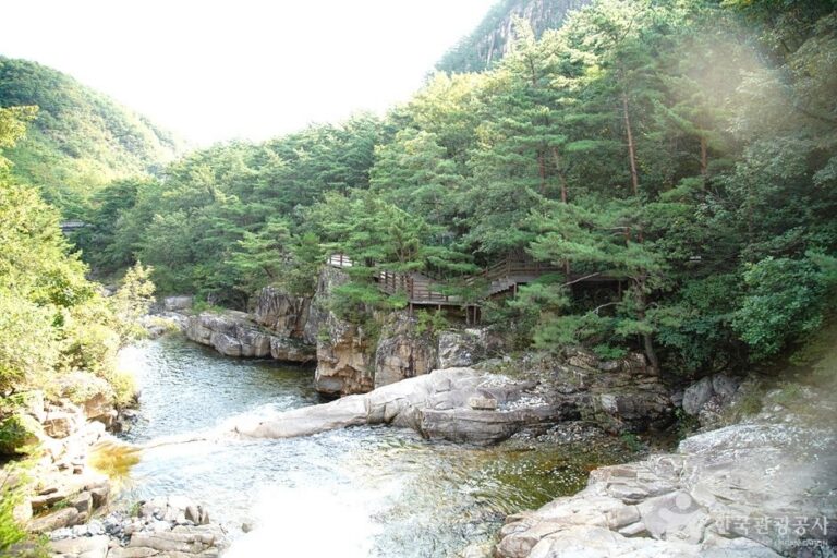 [Gangwon-do] Mureunggyegok Valley Healing Campground (무릉계곡 힐링캠핑장)