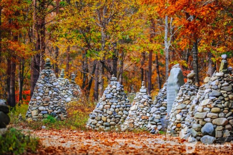 [Gangwon-do] Mojeongtap Trail in Nochusan Mountain (노추산 모정탑길)