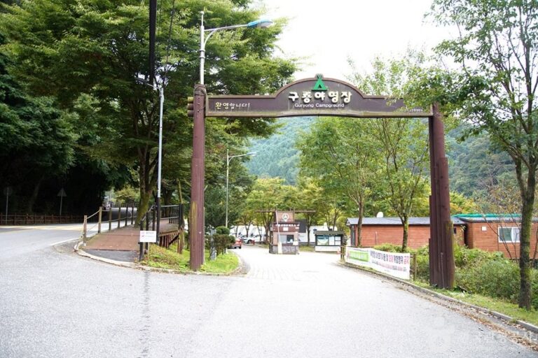 [Gangwon-do] Chiaksan Guryong Auto Campground (치악산 구룡자동차야영장)