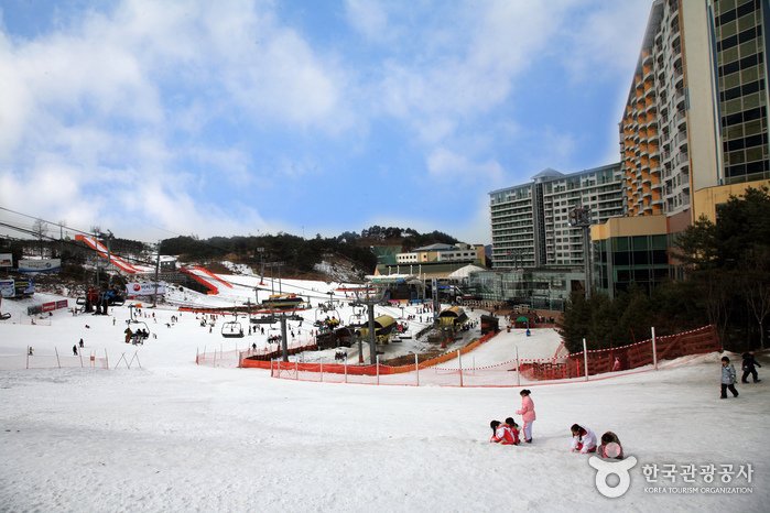 [Gangwon-do] Welli Hilli Park Snow Park (웰리힐리파크 스노우파크)