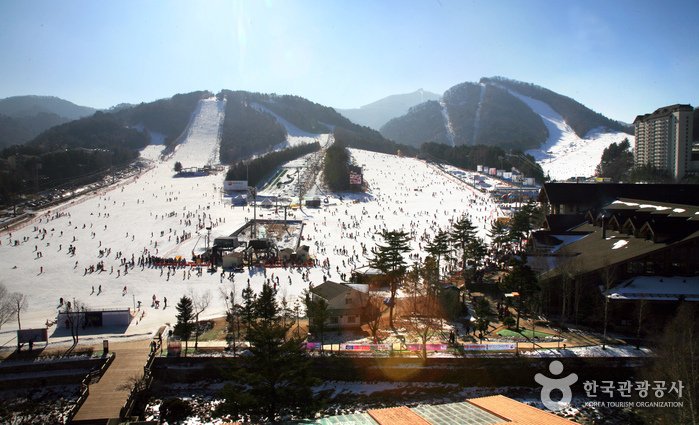 [Gangwon-do] Yongpyong Ski Resort (용평리조트 스키장)