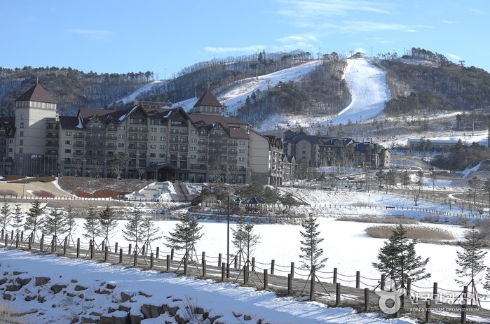 [Gangwon-do] Alpensia Ski Resort (알펜시아리조트 스키장)