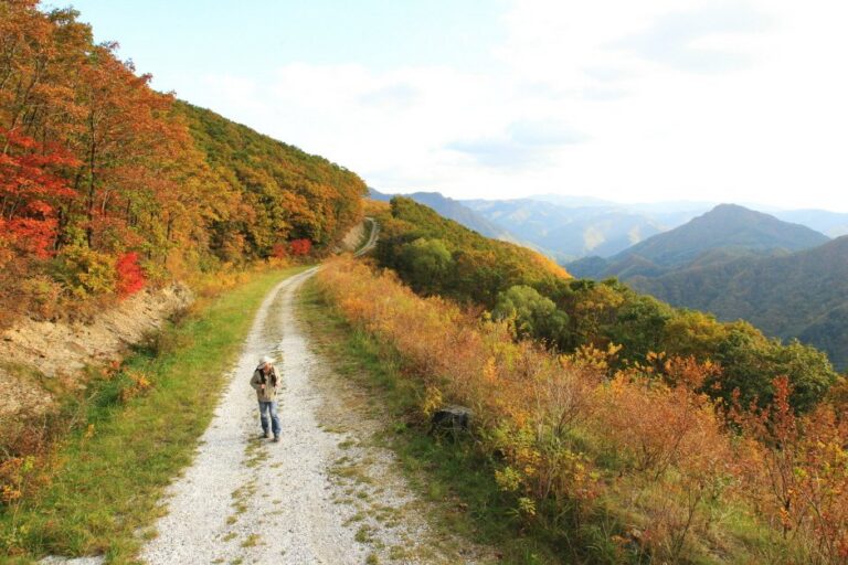 [Gangwon-do] High1 Haneulgil Trekking (하이원 하늘길 트레킹)