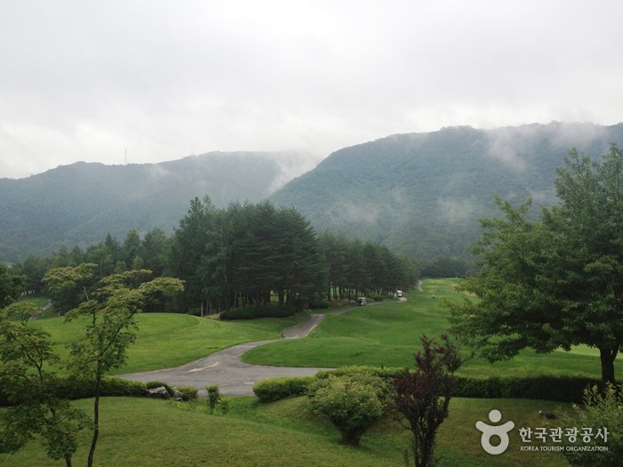 [Gangwon-do] Yongpyong Golf Club (용평 골프클럽)