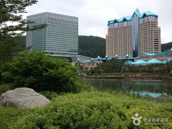 [Gangwon-do] Kangwon Land Casino (강원랜드 카지노)