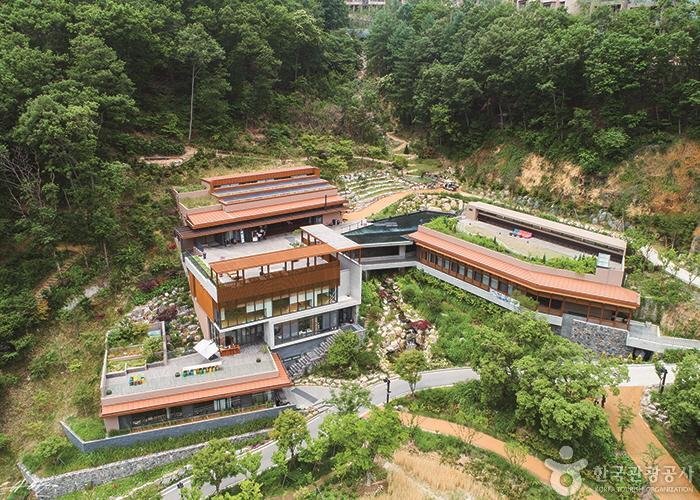 [Gangwon-do] Healience Seonmaeul (힐리언스 선마을)