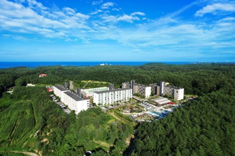 [Gangwon-do] The N Resort (더앤리조트)