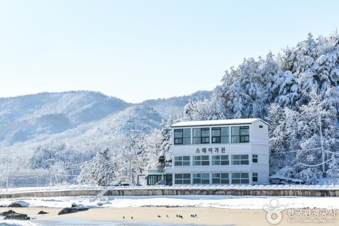 [Gangwon-do] Stay Gajin (스테이가진)