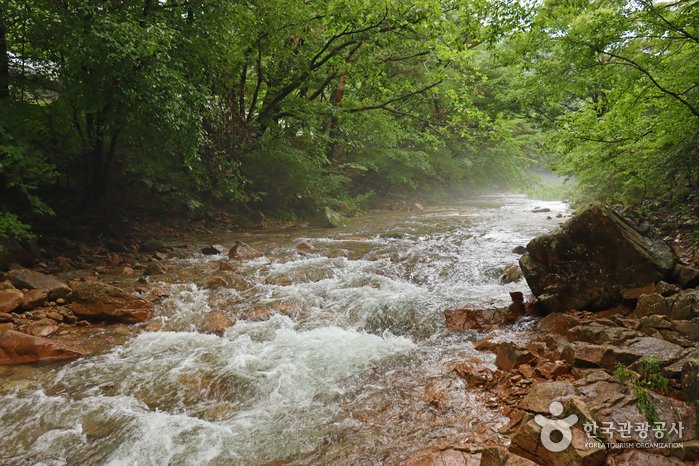 [Chungcheongbuk-do] Mansugyegok Valley (만수계곡)