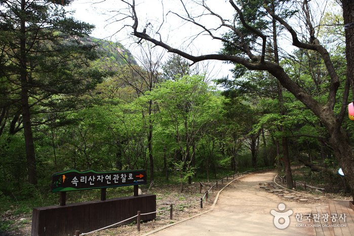 [Chungcheongbuk-do] Songnisan Special Tourist Zone (속리산 관광특구)