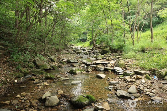 [Chungcheongbuk-do] Yeongok Valley (연곡계곡)