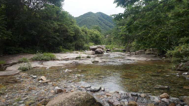 [Chungcheongbuk-do] Gallongyegok Valley (갈론계곡)