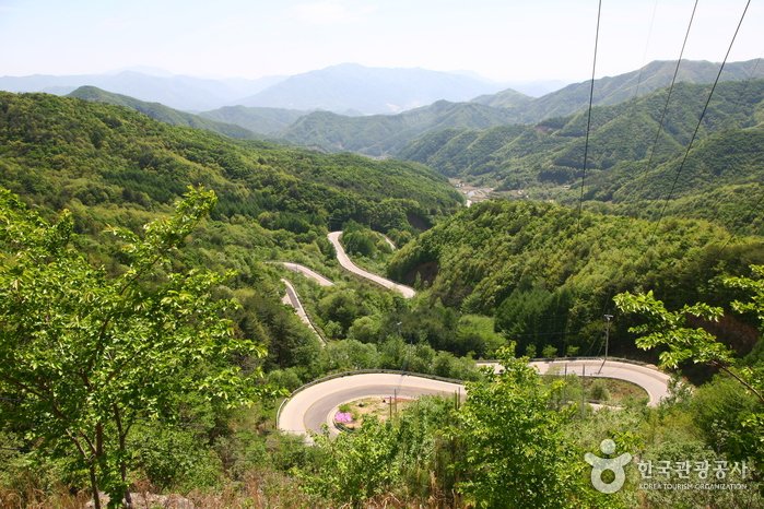[Chungcheongbuk-do] Domaryeong Pass (도마령)
