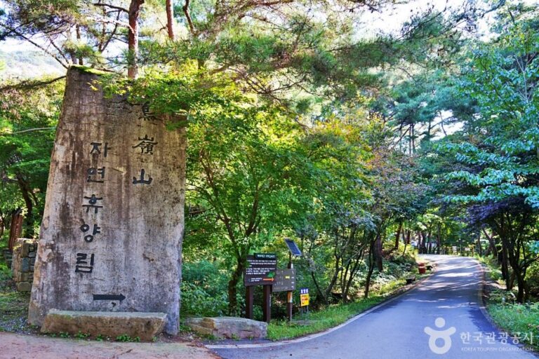 [Chungcheongbuk-do] Joryeongsan Recreational Forest (조령산자연휴양림)
