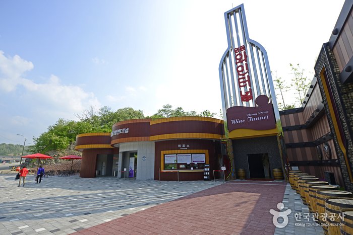 [Chungcheongbuk-do] Yeongdong Wine Tunnel (영동 와인터널)