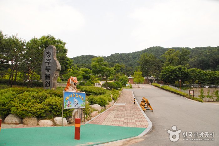 [Chungcheongbuk-do] Cheongju Zoo (청주동물원)