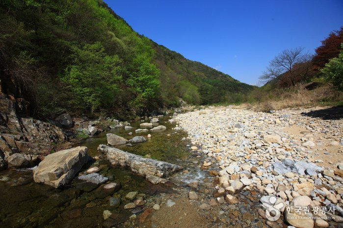 [Chungcheongbuk-do] Ssanggok Valley (쌍곡구곡)