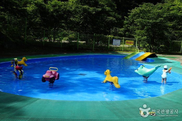 [Chungcheongbuk-do] Cheondong Tourist Area Water Park (천동관광지 물놀이장)