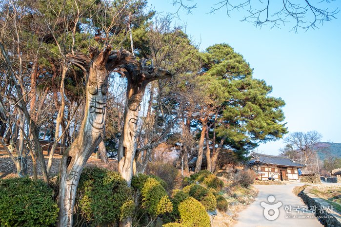 [Chungcheongnam-do] Oeam Folk Village (외암민속마을)