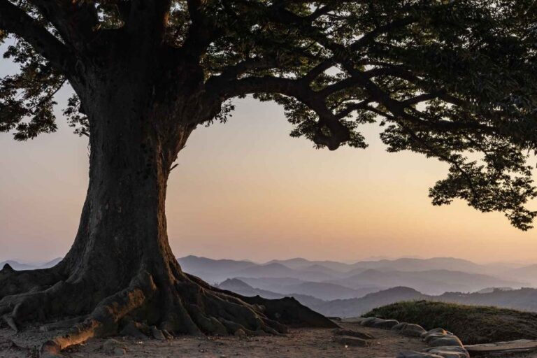 [Chungcheongnam-do] Buyeo Garimseong Fortress (부여 가림성)