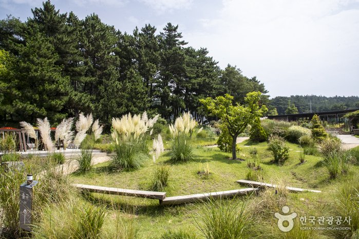 [Chungcheongnam-do] Cheollipo Arboretum (천리포수목원)