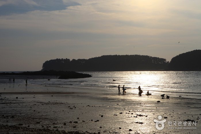 [Chungcheongnam-do] Muchangpo Beach (무창포해수욕장)
