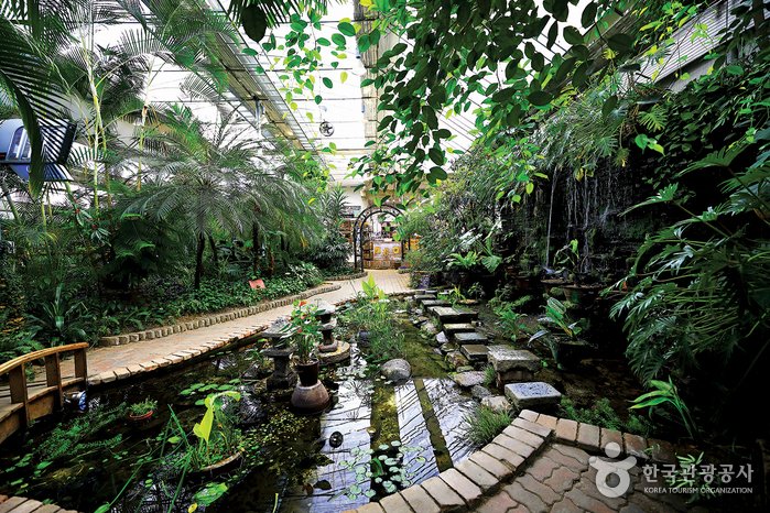 [Chungcheongnam-do] Garden of Sky (하늘물빛정원)