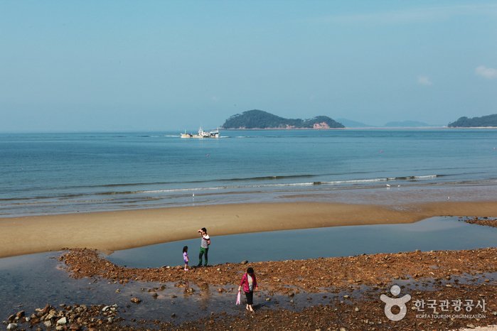 [Chungcheongnam-do] Anmyeondo Island (안면도)