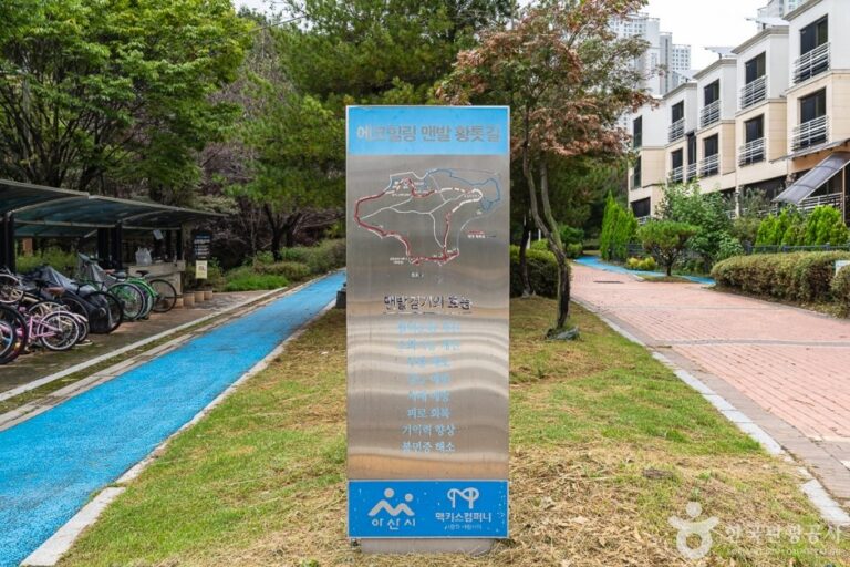 [Chungcheongnam-do] Eco Healing Red Clay Trail (에코힐링 황톳길)
