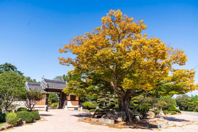 [Chungcheongnam-do] Birth Home of Queen Jeongsun (정순왕후생가)