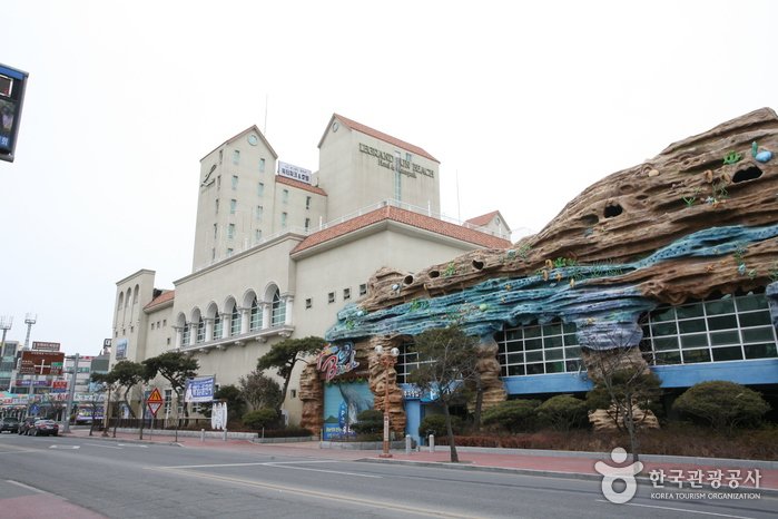 [Chungcheongnam-do] JFK Daecheon Waterpark (JFK 대천 워터파크)