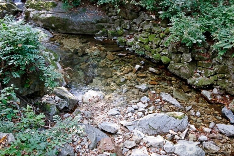 [Chungcheongnam-do] Gapsagyegok Valley (갑사계곡)