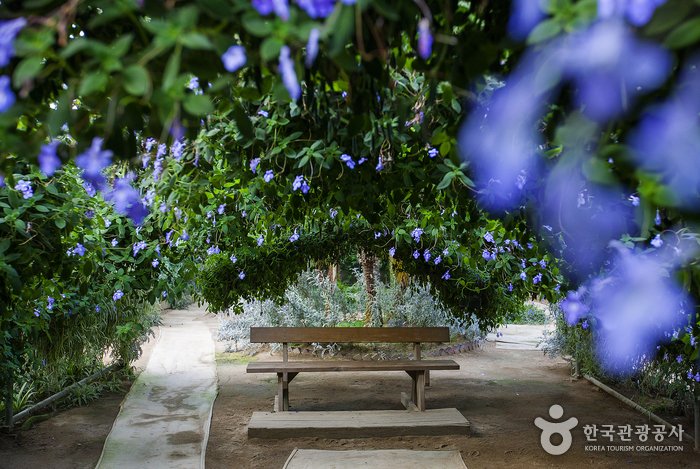 [Chungcheongnam-do] World Flower Botanical Garden (세계꽃식물원)