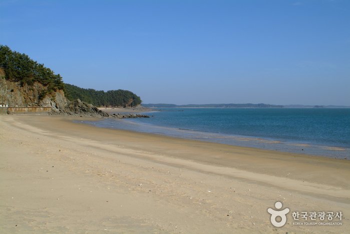 [Chungcheongnam-do] Yeonpo Beach (연포해수욕장)